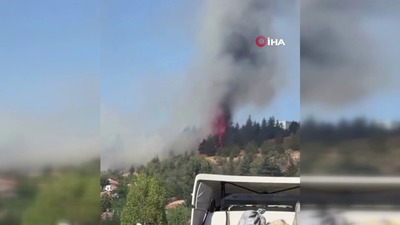 İki ilde orman yangını!