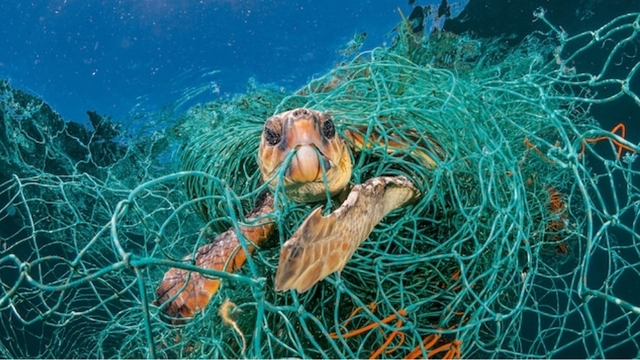 Plastik pandemisine devam