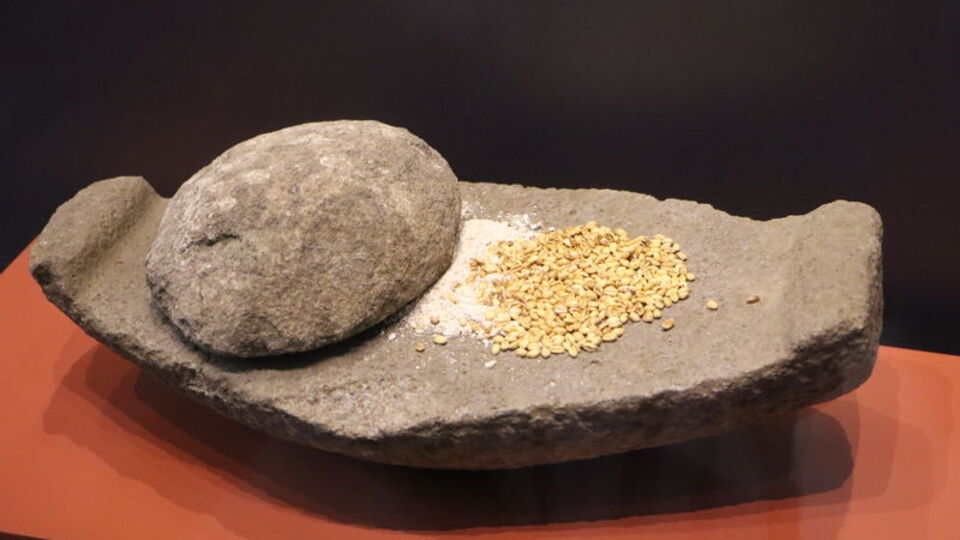 3 bin yıllık fındık kabuğu havuzun içinde bulundu!