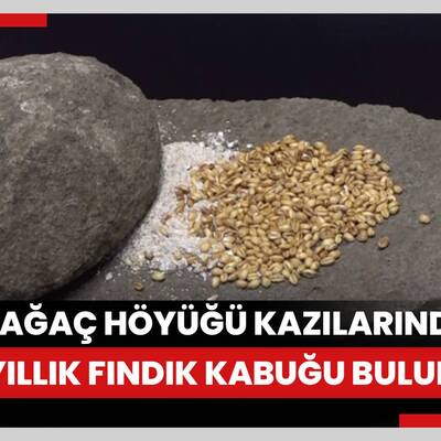 Oymaağaç Höyüğü kazılarında 3 bin yıllık fındık kabuğu bulundu