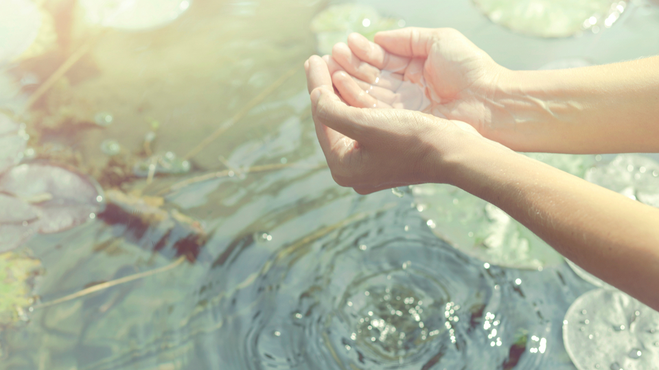İSKİ Suyun Hafızası Kısa Film Yarışması'nın jüri üyeleri belli oldu