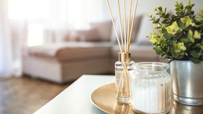 Odanın havasını değiştiren doğal yöntem!