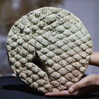 Baklava deseni 800 yıl önce de kullanılmış