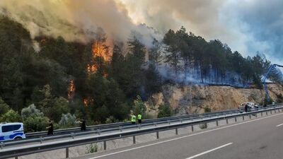 Bolu'da yangın kontrol altında