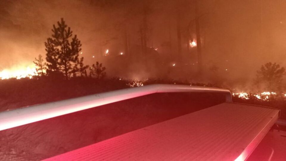 Muğla'da orman yangını