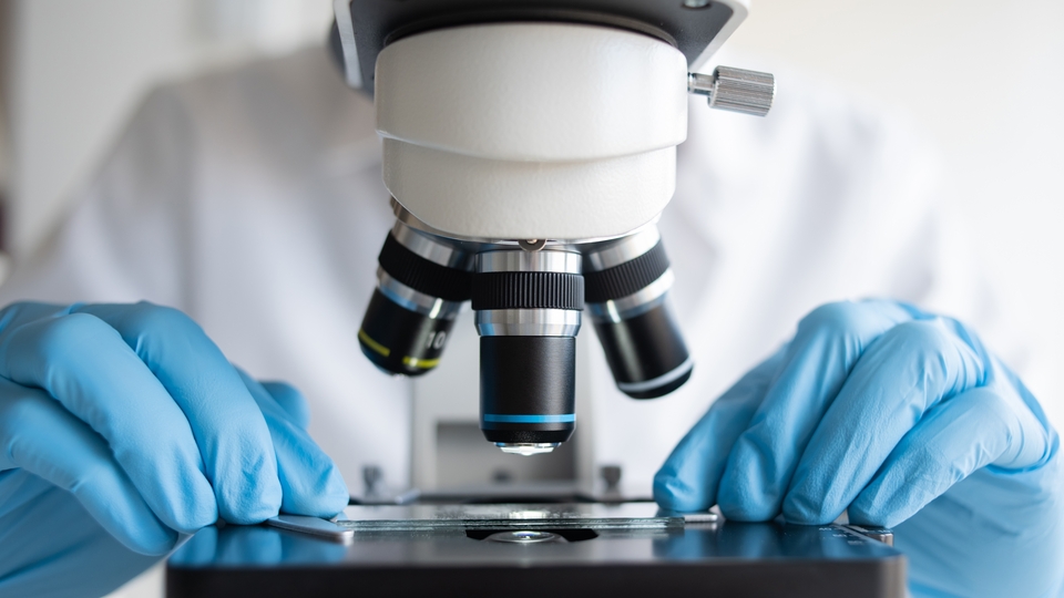 Dünyada ilk kez kan dolaşımı olan deri dokusu üretti