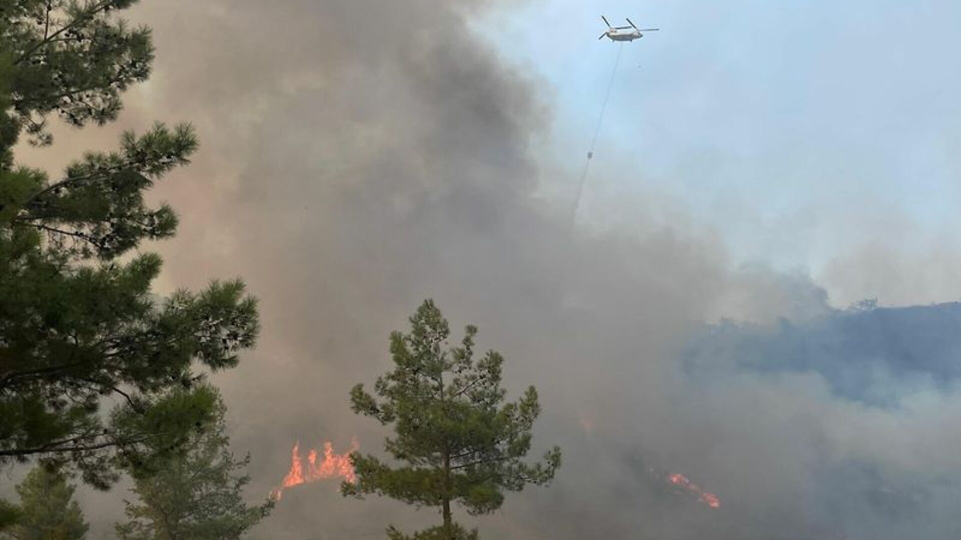 Muğla'da Orman Yangını Alarmı! Alevler Yayılıyor, Ekipler Sefere Çıktı
