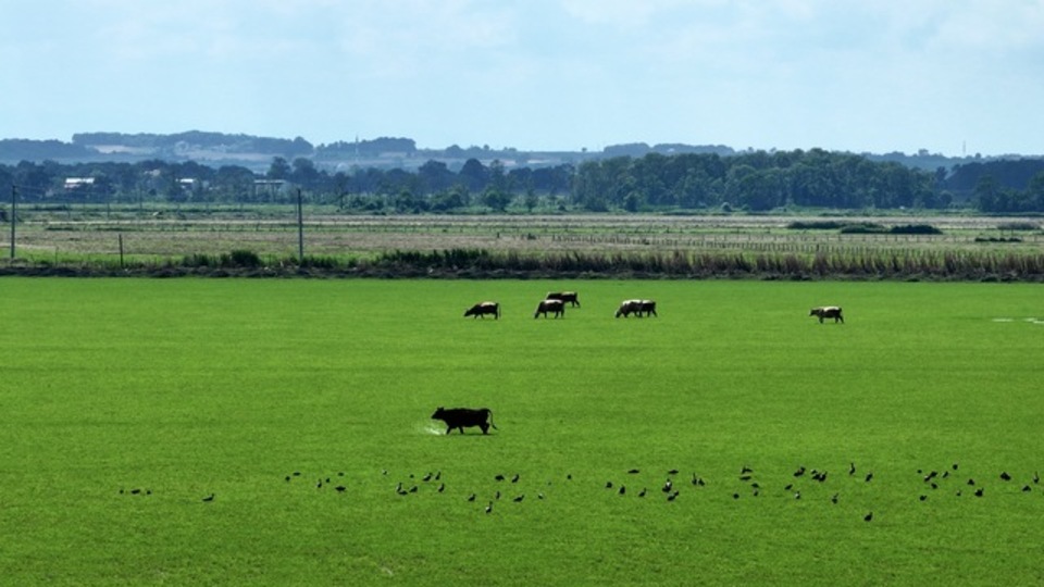 Kuş Cenneti nerede?