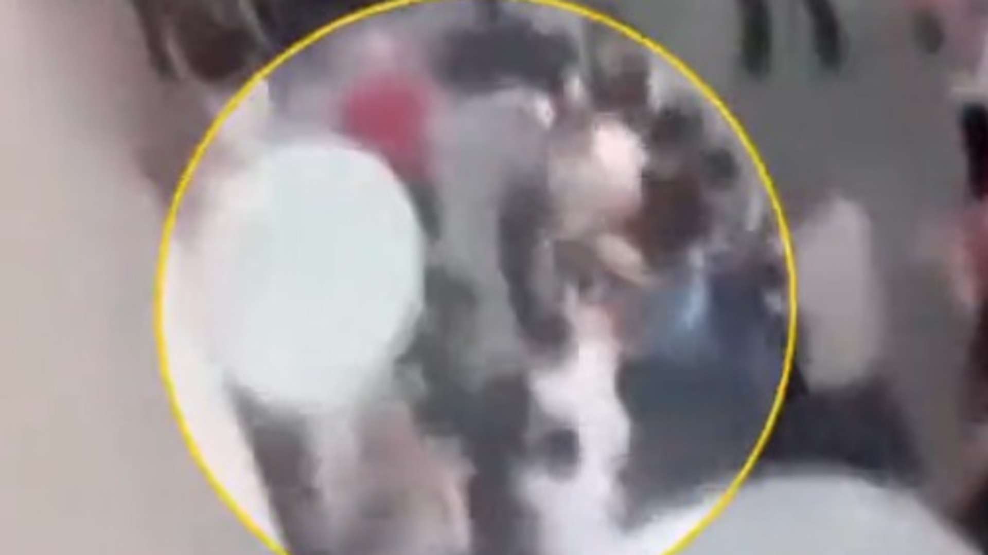 İzmir'de Dehşet: Kadını Bıçaklayan Saldırganı Halk Linç Etti!