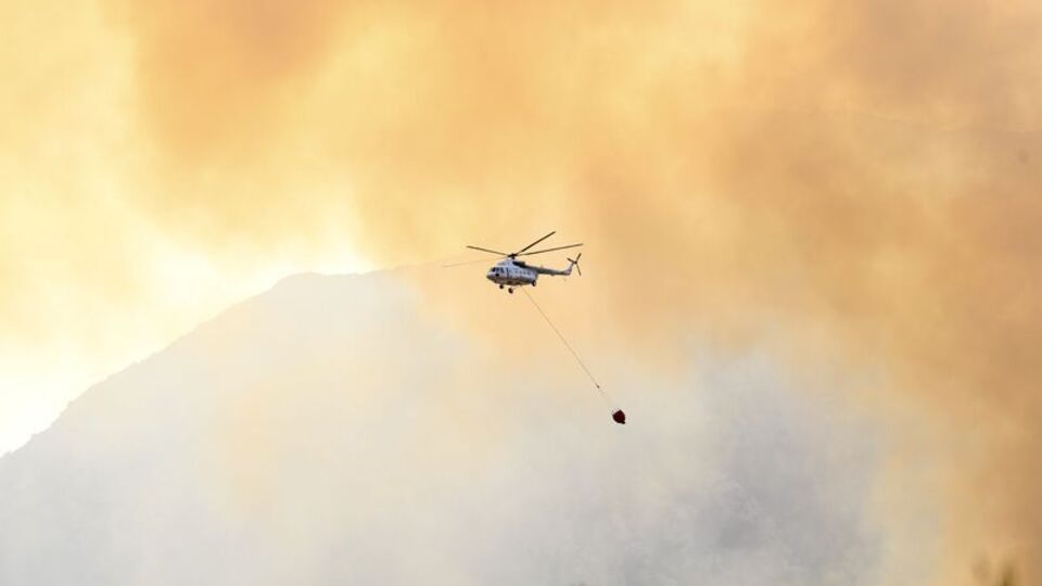 Adana'da ve Muğla'da orman yangını