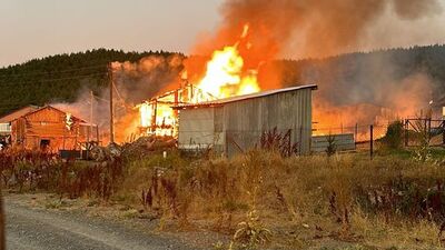 Yangında 2 yayla evi yandı