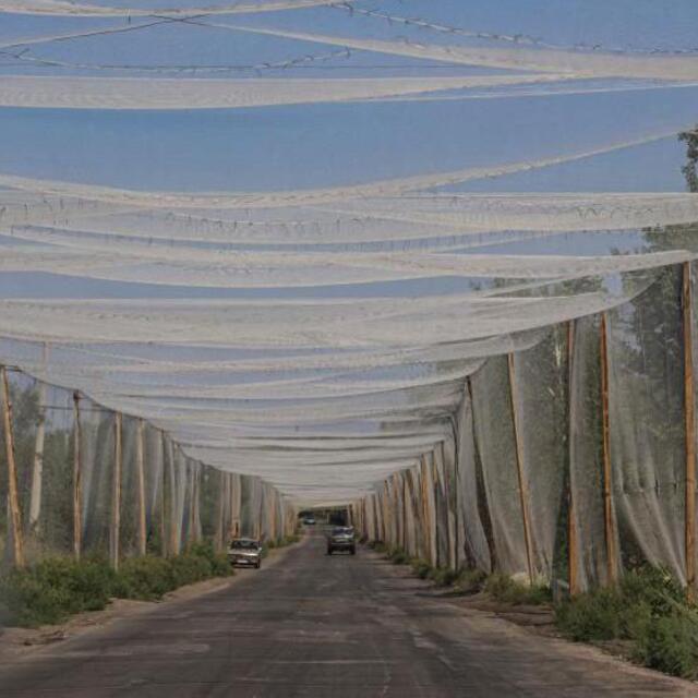 Donetsk Ukrayna'nın savunması için neden bu kadar önemli?