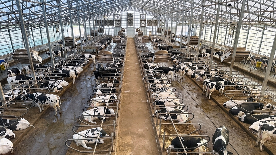 "Birçok kapanan süt işletmesi var"