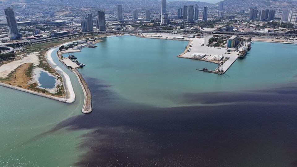 İzmir Körfezi'nde balık ölümleri