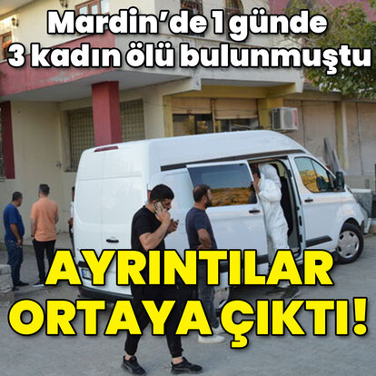 Mardin'de 1 günde 3 kadın ölü bulunmuştu! Ayrıntılar ortaya çıktı