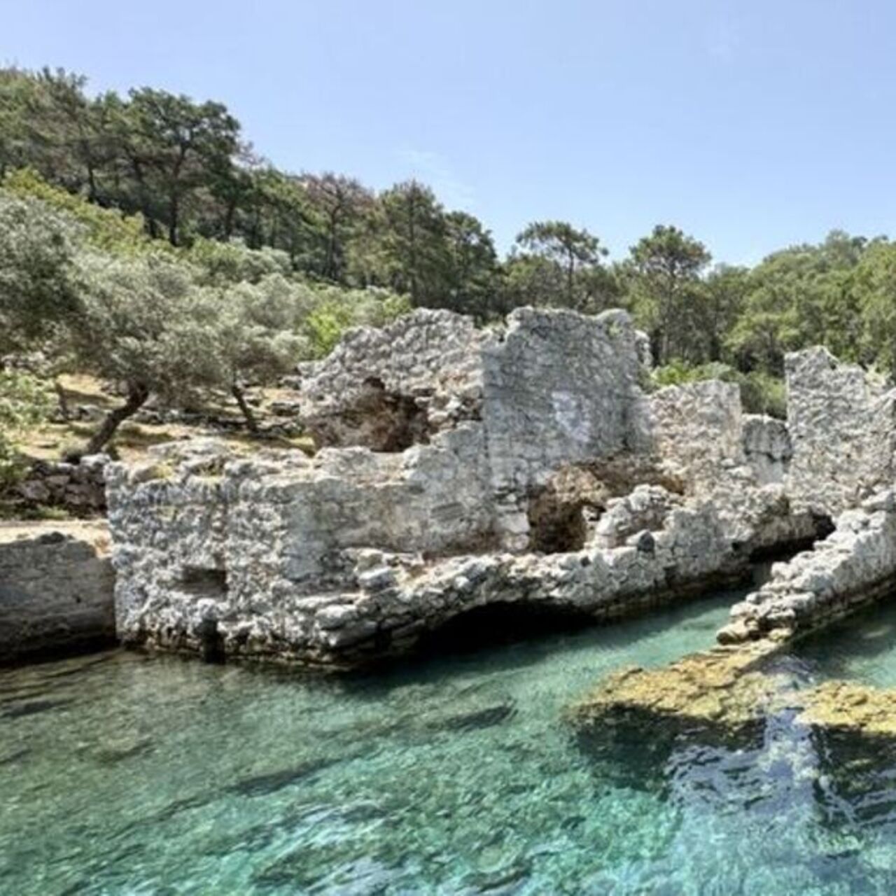 Hamam Koyu nerede?