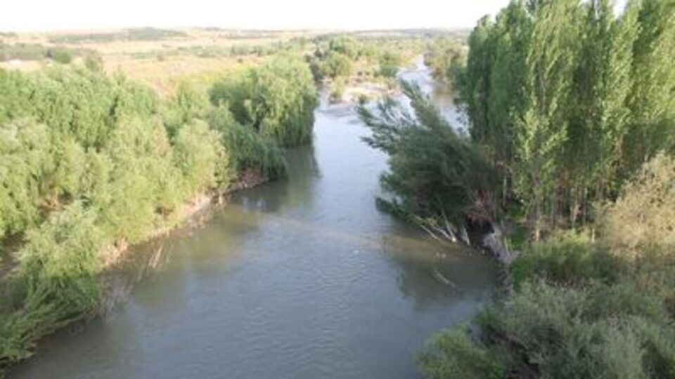 Dicle Nehri nerede?