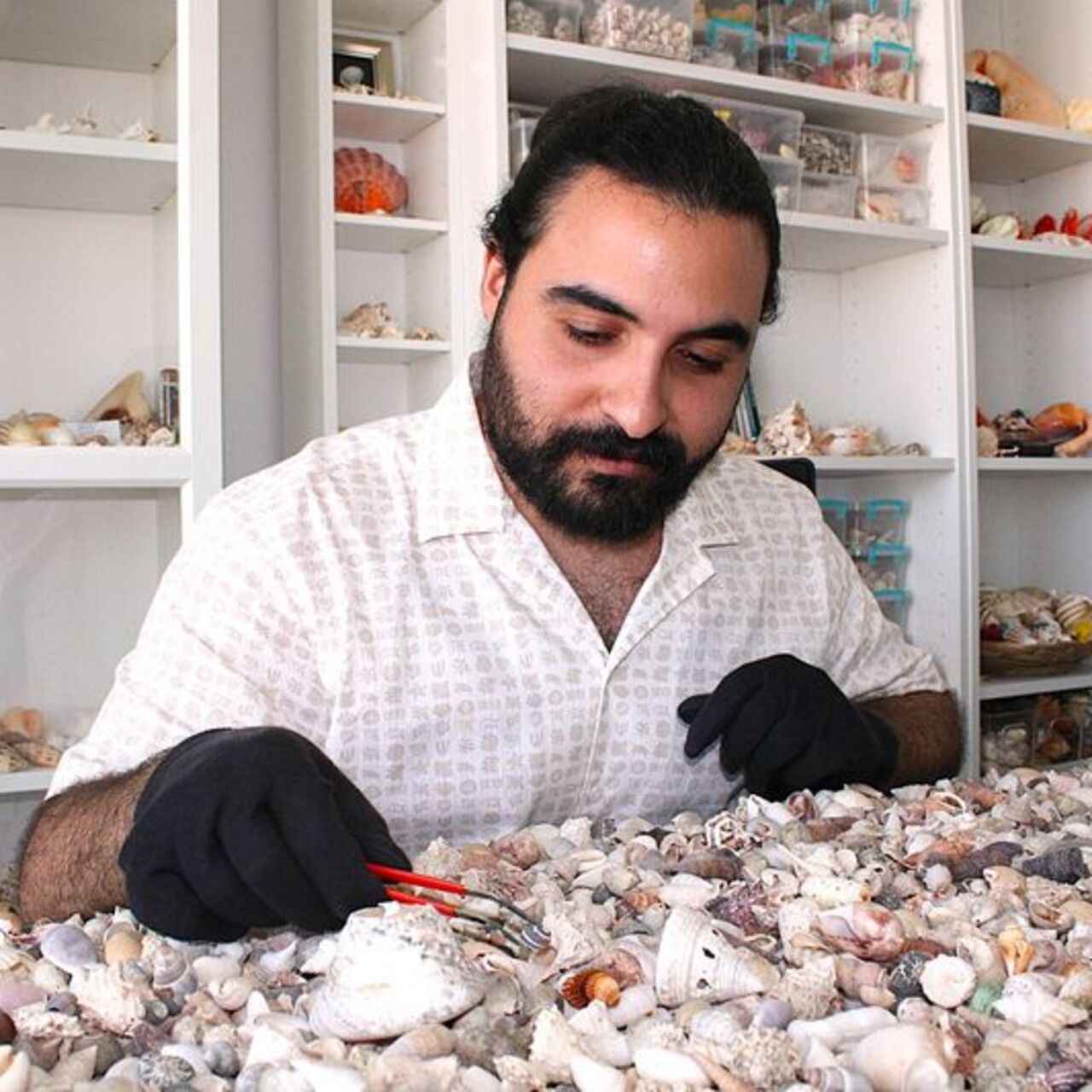 10 milyon deniz kabuğu ile koleksiyon oluşturdu