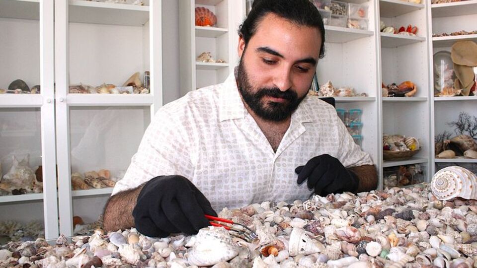 10 milyon deniz kabuğu ile koleksiyon oluşturdu