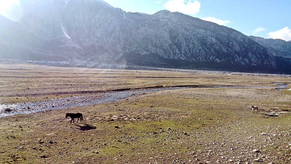 Eynif Ovası nerede?