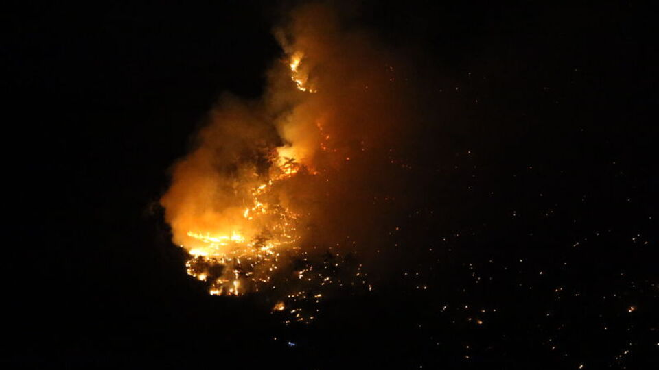 Balıkesir, Denizli ve Malatya'da orman yangını