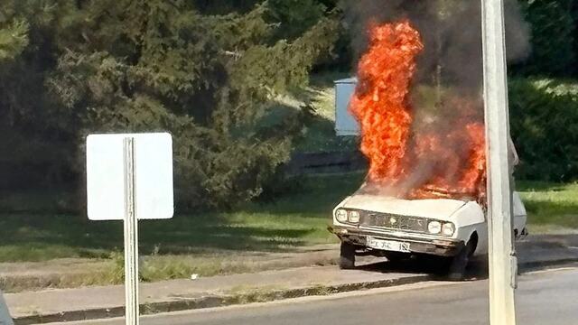 Tekrar Beyaz Toroslara dair