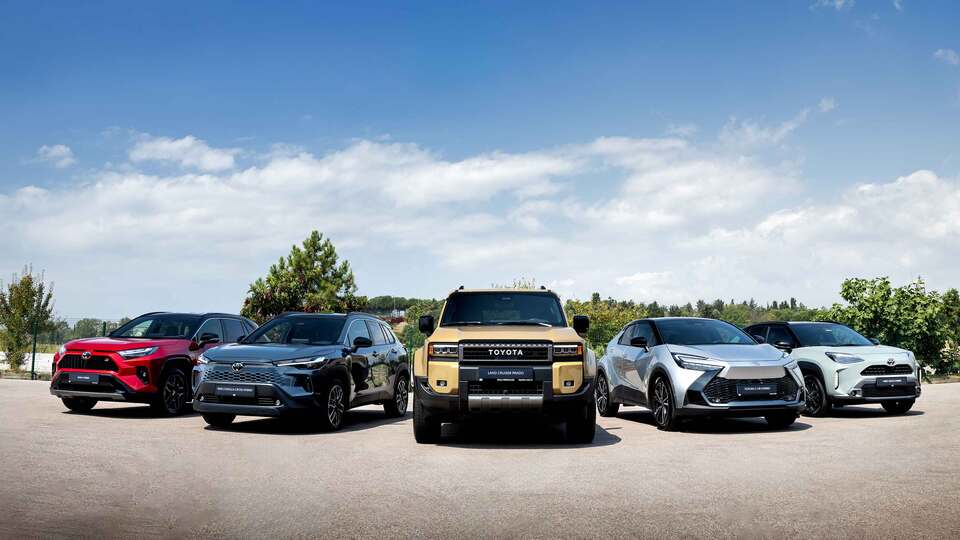 Sattığı her araç için 10 ağaç dikecek