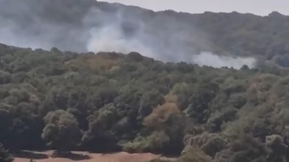 İstanbul'da orman yangını!