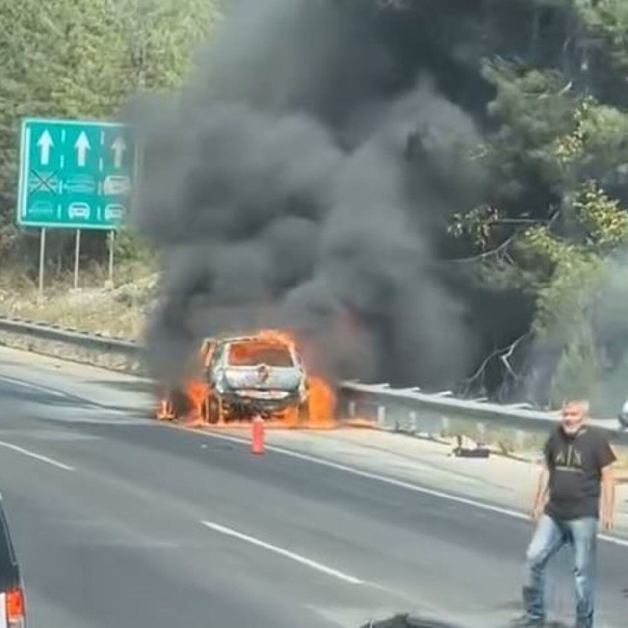 Ormanı yakan araç yangını!