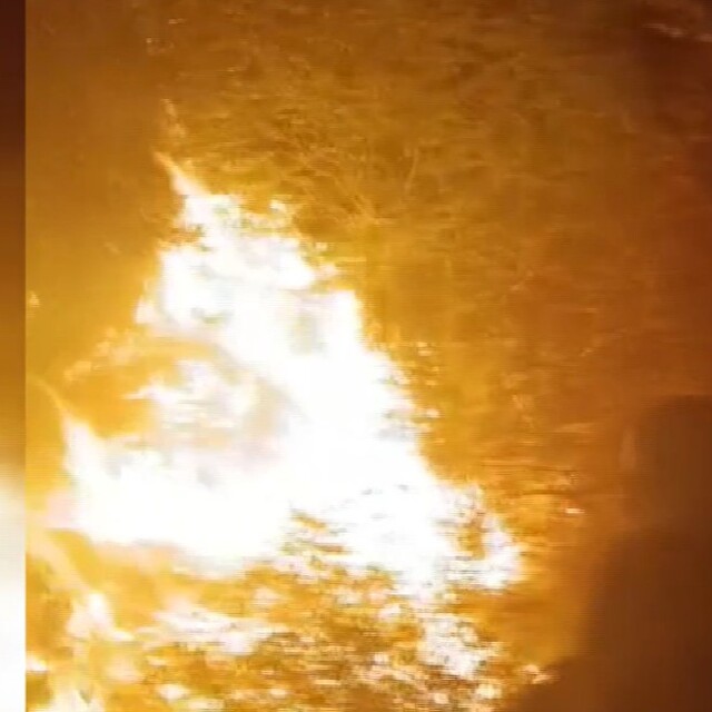Marmara Adası'nda orman yangını