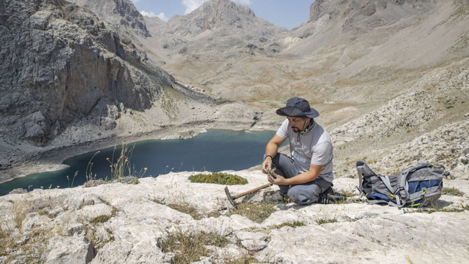 Tunceli'de iz sürdü! 2011'den bu yana 5 tür keşfetti