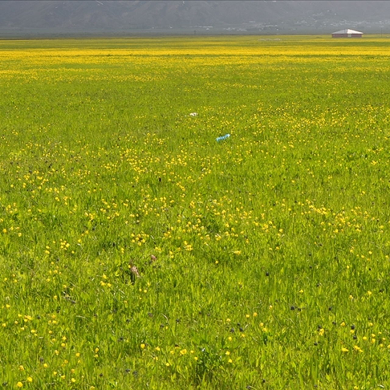 Hacel Obası nerede?