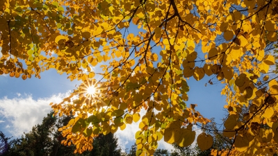 Güneş ışığının azalması ruh sağlığını etkiliyor