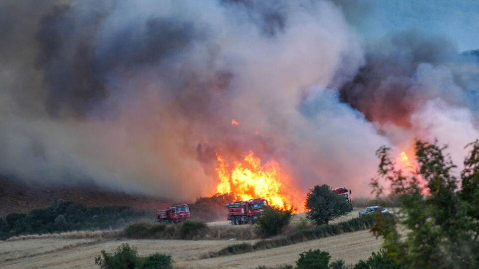Balıkesir'de orman yangını