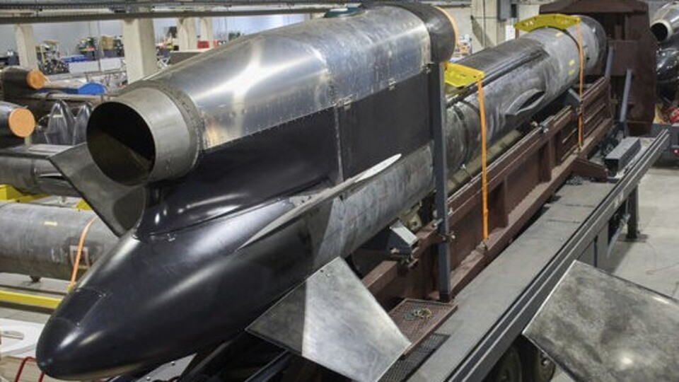 Flamingo ve Neptün: Ukrayna'nın yeni silahları