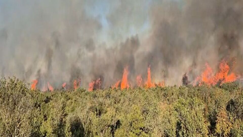 Balıkesir yangını 12 saat sonra...