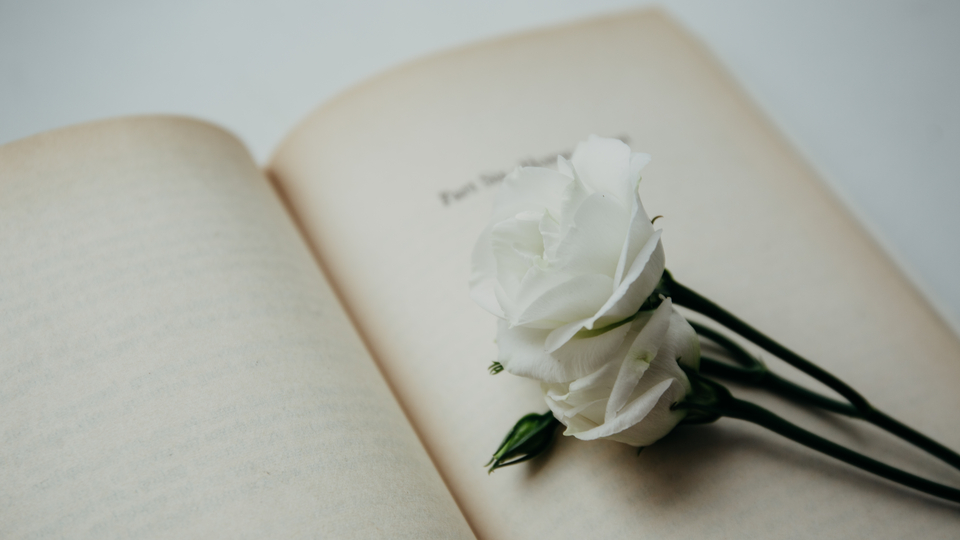 'İstanbul Şiir ve Edebiyat Festivali' 28 Eylül'de başlayacak