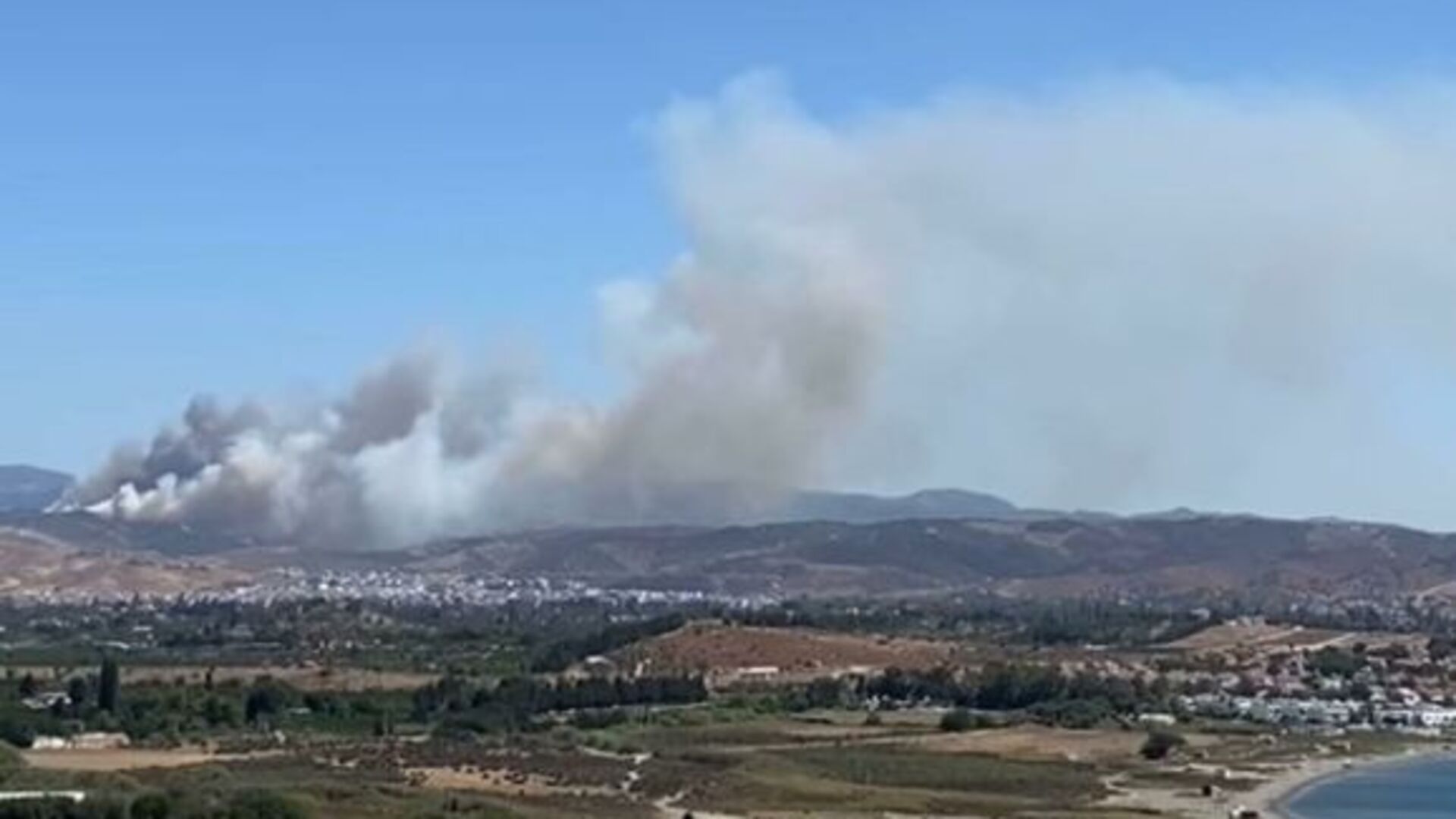 Seferihisar'da Orman Yangınında Son Dakika: Alevler Kontrol Altında!