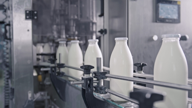 Rekabet Kurulu'ndan süt markasına soruşturma