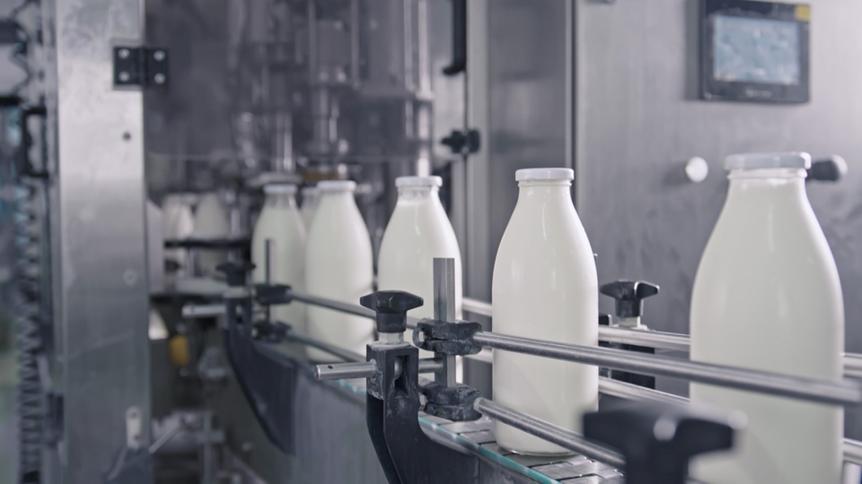 Rekabet Kurulu'ndan süt markasına soruşturma