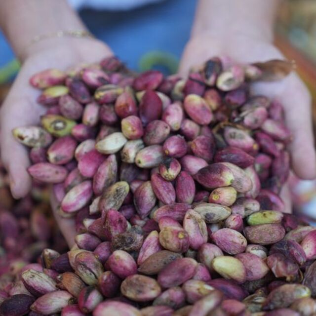 "Yok yılı" fiyatını uçurdu: Kilosu 500 TL