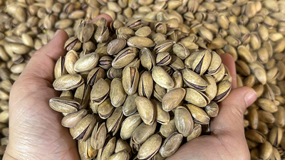 Üç bakanlıktan fıstık sektörü denetimi