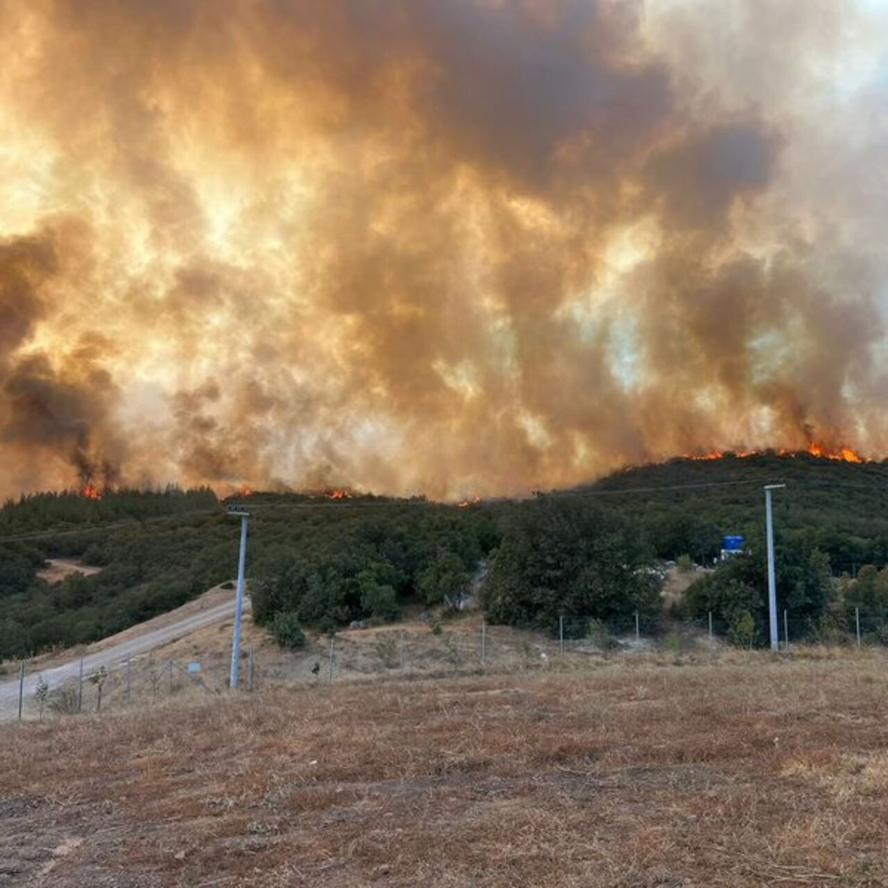 Bursa, Denizli, Hatay yangınlarında son durum