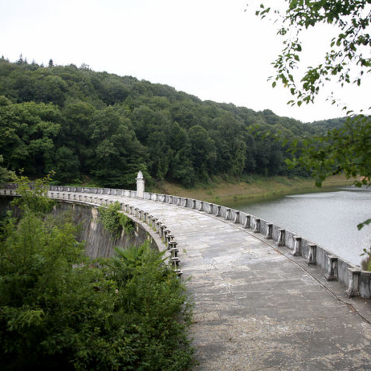 Belgrad Ormanı Nerede?