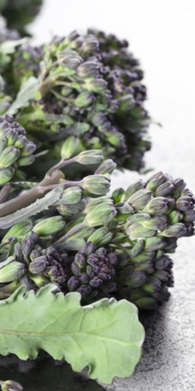 Vücudun en çok ihtiyaç duyduğu 20 besin