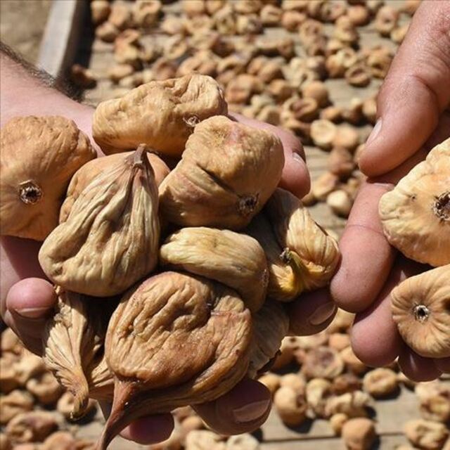 Kuru incirde fiyat belli oldu