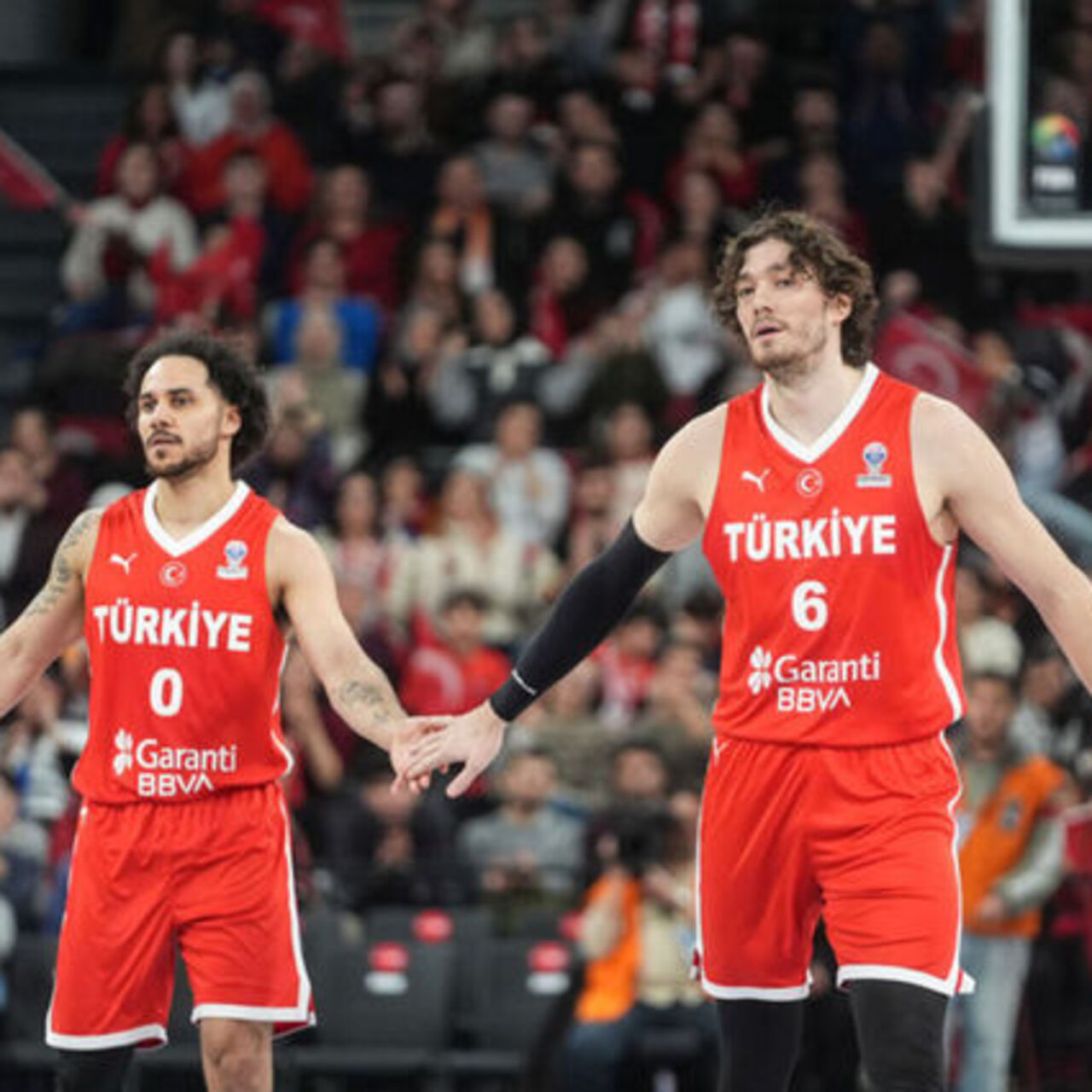 Türkiye-Portekiz basketbol maçı canlı izle