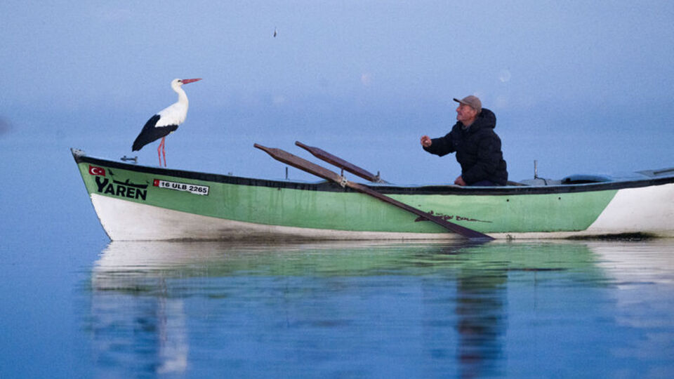 Yaren leylek Adem Amca'ya veda etti!