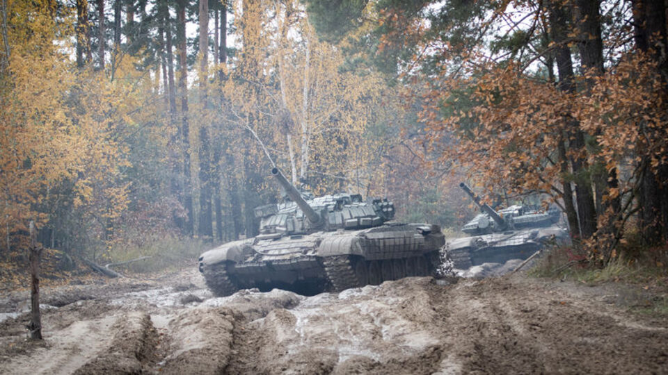 Estonya bataklıkları yeniden canlandırmayı planlıyor