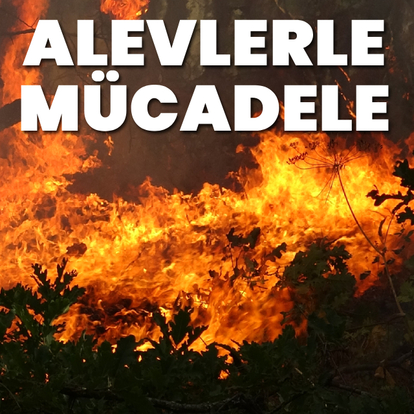 Sivas, Denizli ve Karabük'te yangın